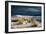 Barren Desert Landscape with Grasses under a Blue Sky-Jody Miller-Framed Photographic Print