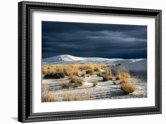 Barren Desert Landscape with Grasses under a Blue Sky-Jody Miller-Framed Photographic Print