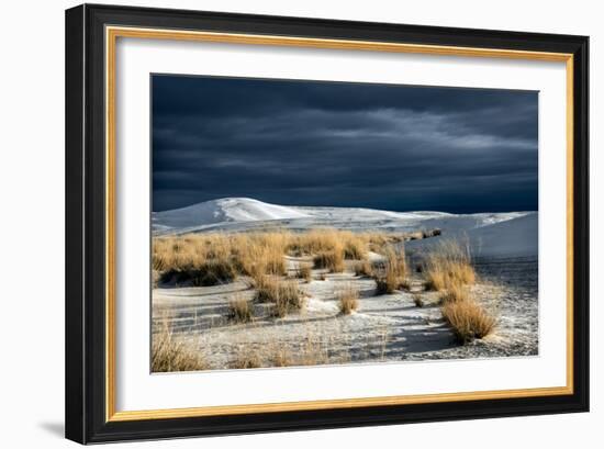 Barren Desert Landscape with Grasses under a Blue Sky-Jody Miller-Framed Photographic Print