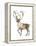 Barren Ground Caribou (Rangifer Arcticus), Mammals-Encyclopaedia Britannica-Framed Stretched Canvas
