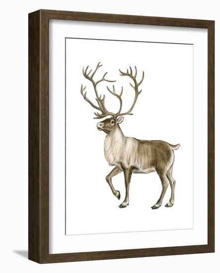 Barren Ground Caribou (Rangifer Arcticus), Mammals-Encyclopaedia Britannica-Framed Art Print