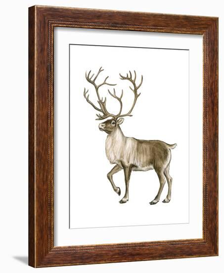 Barren Ground Caribou (Rangifer Arcticus), Mammals-Encyclopaedia Britannica-Framed Art Print