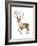 Barren Ground Caribou (Rangifer Arcticus), Mammals-Encyclopaedia Britannica-Framed Art Print