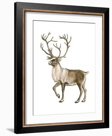 Barren Ground Caribou (Rangifer Arcticus), Mammals-Encyclopaedia Britannica-Framed Art Print