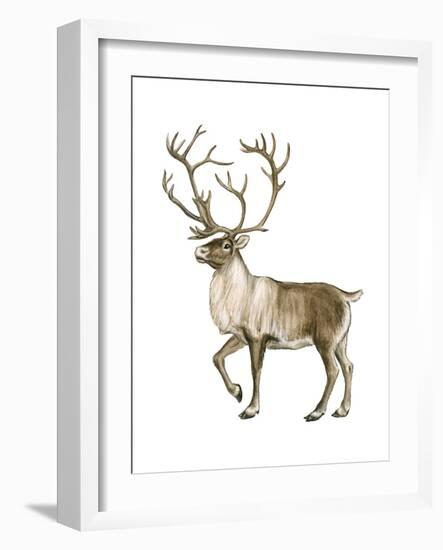 Barren Ground Caribou (Rangifer Arcticus), Mammals-Encyclopaedia Britannica-Framed Art Print