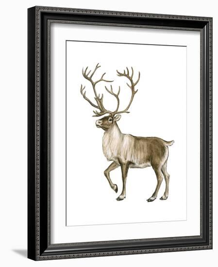 Barren Ground Caribou (Rangifer Arcticus), Mammals-Encyclopaedia Britannica-Framed Art Print