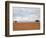 Barren Landscape with Trees-Ted Levine-Framed Photographic Print