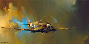 Spitfire by Barrie Clark