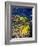 Barrier Reef Coral III-Kathy Mansfield-Framed Photographic Print