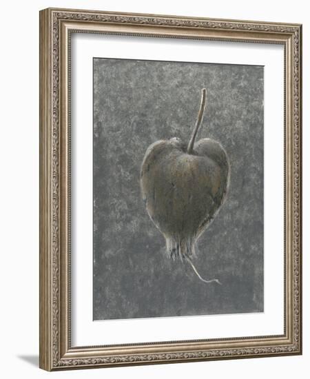 Barringtonia Acutangula-Lincoln Seligman-Framed Giclee Print