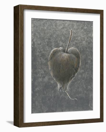 Barringtonia Acutangula-Lincoln Seligman-Framed Giclee Print