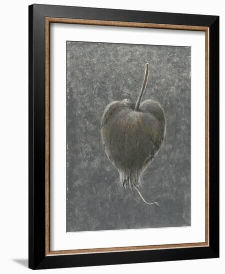 Barringtonia Acutangula-Lincoln Seligman-Framed Giclee Print