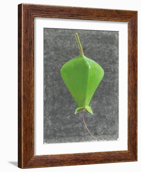 Barringtonia Acutangula-Lincoln Seligman-Framed Giclee Print