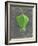 Barringtonia Acutangula-Lincoln Seligman-Framed Giclee Print