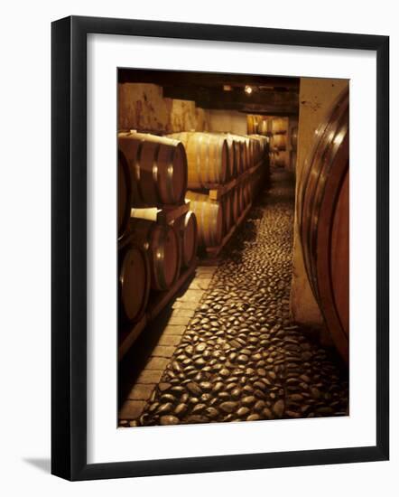 Barrique Cellar in Abbazia Di Rosazzo, Collio, Friuli-Hans-peter Siffert-Framed Photographic Print