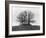 Barrow Near Bourton on the Water, Gloucestershire-Henry Taunt-Framed Photographic Print