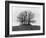 Barrow Near Bourton on the Water, Gloucestershire-Henry Taunt-Framed Photographic Print