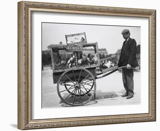 Barrow of Birds at the Paris Animal Market, 20th Century-Andrew Pitcairn-knowles-Framed Giclee Print