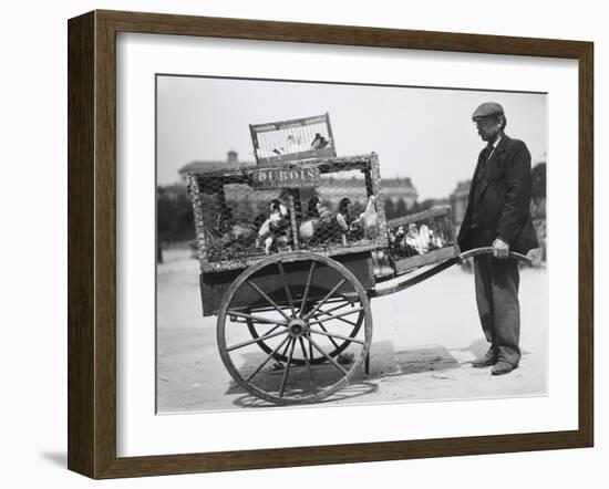 Barrow of Birds at the Paris Animal Market, 20th Century-Andrew Pitcairn-knowles-Framed Giclee Print