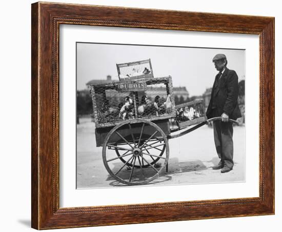 Barrow of Birds at the Paris Animal Market, 20th Century-Andrew Pitcairn-knowles-Framed Giclee Print