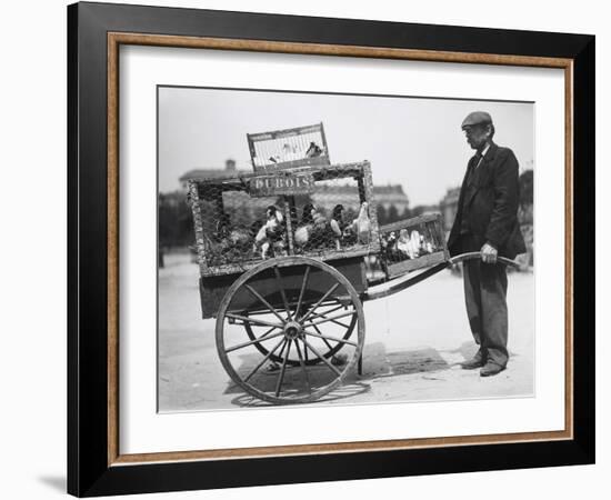 Barrow of Birds at the Paris Animal Market, 20th Century-Andrew Pitcairn-knowles-Framed Giclee Print