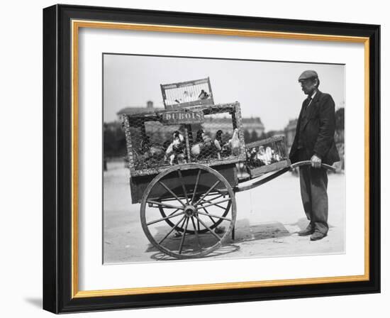 Barrow of Birds at the Paris Animal Market, 20th Century-Andrew Pitcairn-knowles-Framed Giclee Print