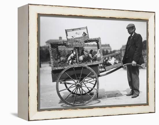 Barrow of Birds at the Paris Animal Market, 20th Century-Andrew Pitcairn-knowles-Framed Premier Image Canvas