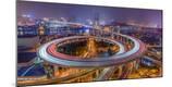Premium Photographic Print