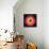 Barry Harris - Bull's Eye!-null-Framed Stretched Canvas displayed on a wall