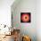 Barry Harris - Bull's Eye!-null-Framed Stretched Canvas displayed on a wall