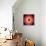 Barry Harris - Bull's Eye!-null-Framed Stretched Canvas displayed on a wall