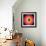 Barry Harris - Bull's Eye!-null-Framed Art Print displayed on a wall