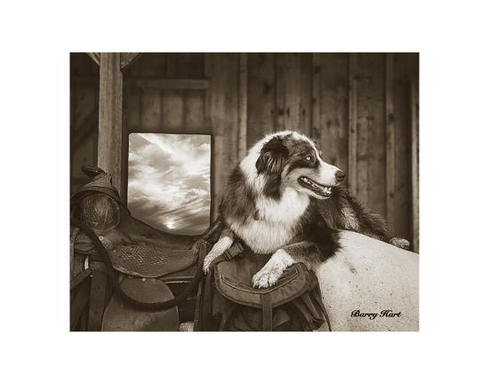 Art Print, , large