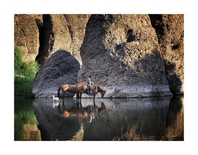 by Barry Hart Horse Dog Landscape Poster 13x19 color WESTERN ART PRINT Oasis