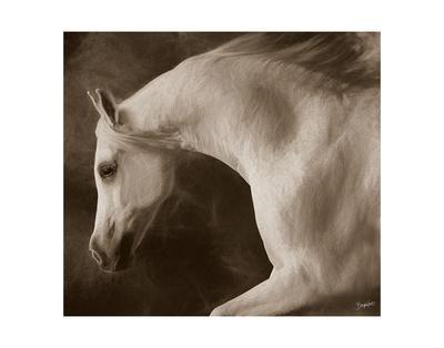 by Barry Hart Horse Dog Landscape Poster 13x19 color WESTERN ART PRINT Oasis
