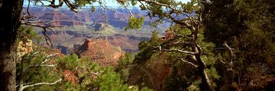 The Grand Canyon, Day Time, View over the Landscape of the Canyon and the Green Vegetation-Barry Herman-Photographic Print