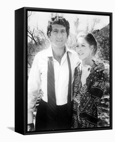 Barry Newman, Petrocelli (1974)-null-Framed Stretched Canvas