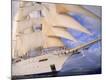 Premium Photographic Print
