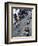 Bars and Restaurants in Ashton Lane, West End Area, Glasgow, Scotland, United Kingdom-Yadid Levy-Framed Photographic Print