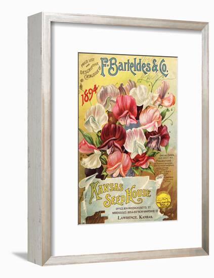 Barteldes Catalog Lawrence KS-null-Framed Art Print