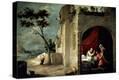 Stretched Canvas Print