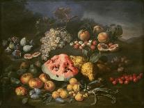 Still Life-Bartolomeo Bimbi-Giclee Print