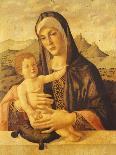 Saint Jerome in the Desert-Bartolomeo Montagna-Giclee Print