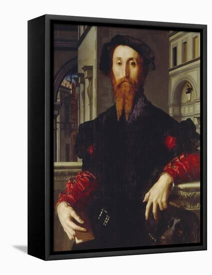 Bartolomeo Panciatichi, C. 1540-Agnolo Bronzino-Framed Premier Image Canvas