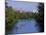 Barton Creek, Austin, Texas, USA-null-Mounted Photographic Print