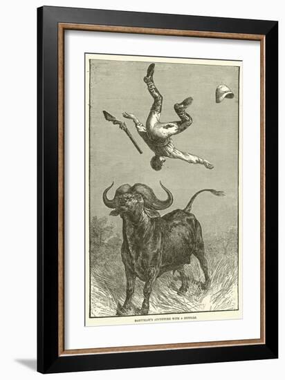 Barttelot's Adventure with a Buffalo-null-Framed Giclee Print