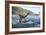 Baryonyx Dinosaur-Jose Antonio-Framed Photographic Print