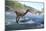 Baryonyx Dinosaur-Jose Antonio-Mounted Photographic Print