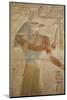 Bas-Relief of the God Anubis, Temple of Seti I, Abydos, Egypt, North Africa, Africa-Richard Maschmeyer-Mounted Photographic Print