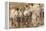 Bas-Relief on Arch of Titus Showing Menorah Taken from the Temple of Jerusalem-Stuart Black-Framed Premier Image Canvas